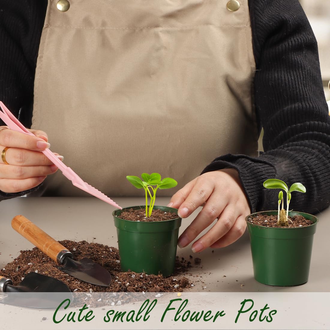RootTrimmer compact pots deliver versatile indoor-outdoor plant setups.