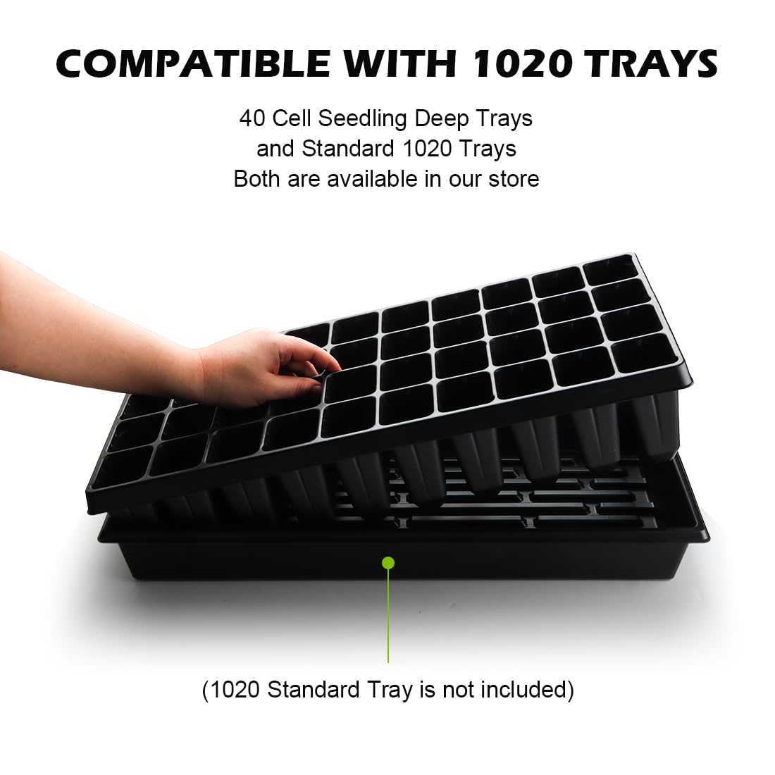 Roottrimmer extra depth supports taller seedlings before transplanting.