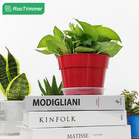 RooTrimmer indoor decor and plant organization for neat displays.