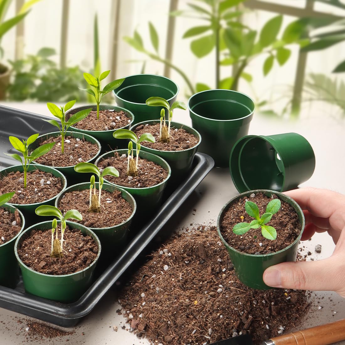 RootTrimmer mini green planters fit desks and windowsills for compact gardens.