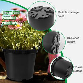 RooTrimmer pot with drainage holes supports proper moisture management