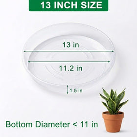 RootTrimmer raised-edge tray guards against drips and soil spills indoors or outdoors.
