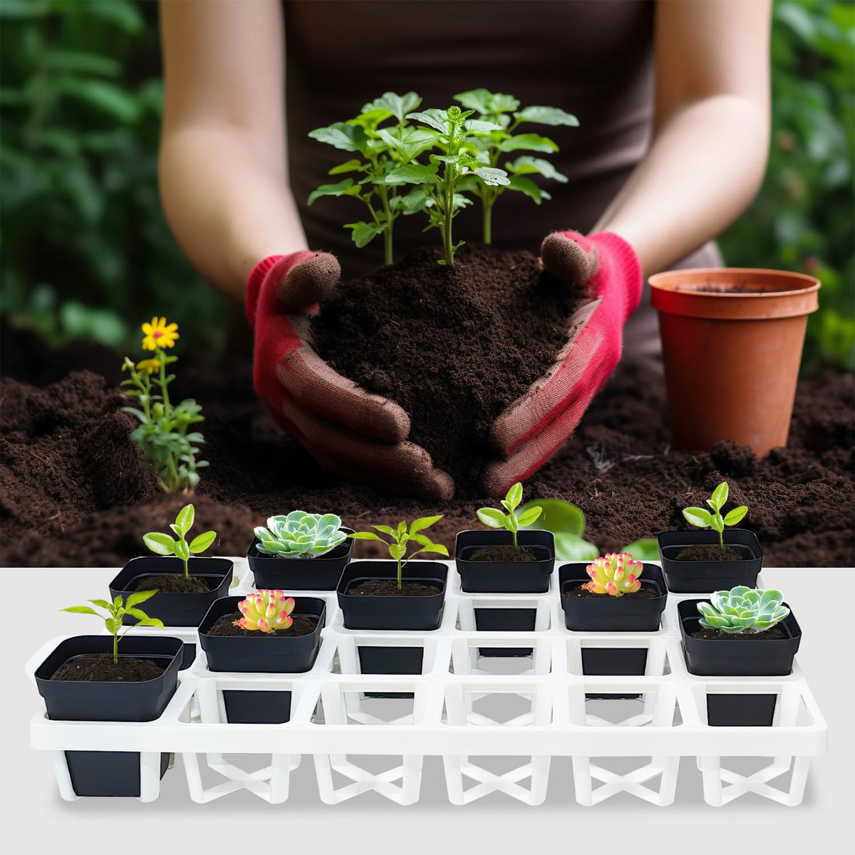 RooTrimmer seed-starting tray for multi-season use and organization