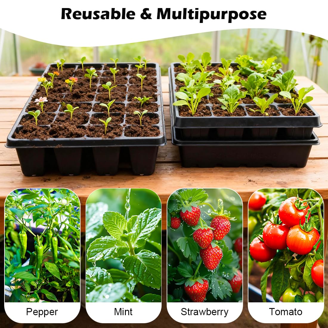 Roottrimmer seed-starting tray ideal for flowers, vegetables, and herbs.