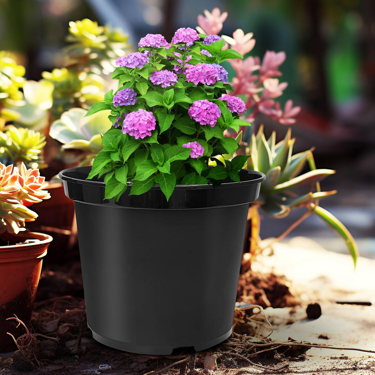 RooTrimmer textured surface provides a secure grip when moving pots