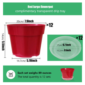 RooTrimmer transparent saucer highlights water level and prevents spills.