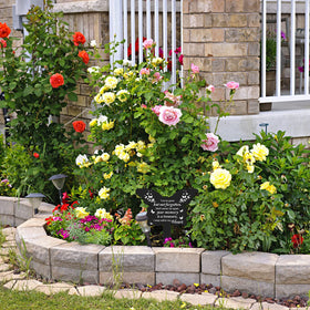  Roowest butterfly memorial stake, meaningful symbol for honoring a loved one