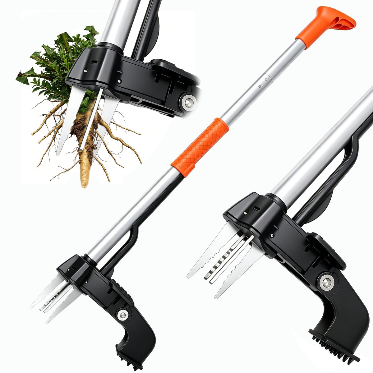 Rose Manor weed puller with 4-claw head grips deep roots for clean lawn removal.