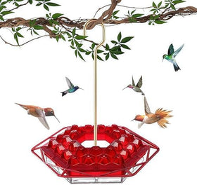 Roself hummingbird feeder with 30-port outdoor view for active nectar feeding.