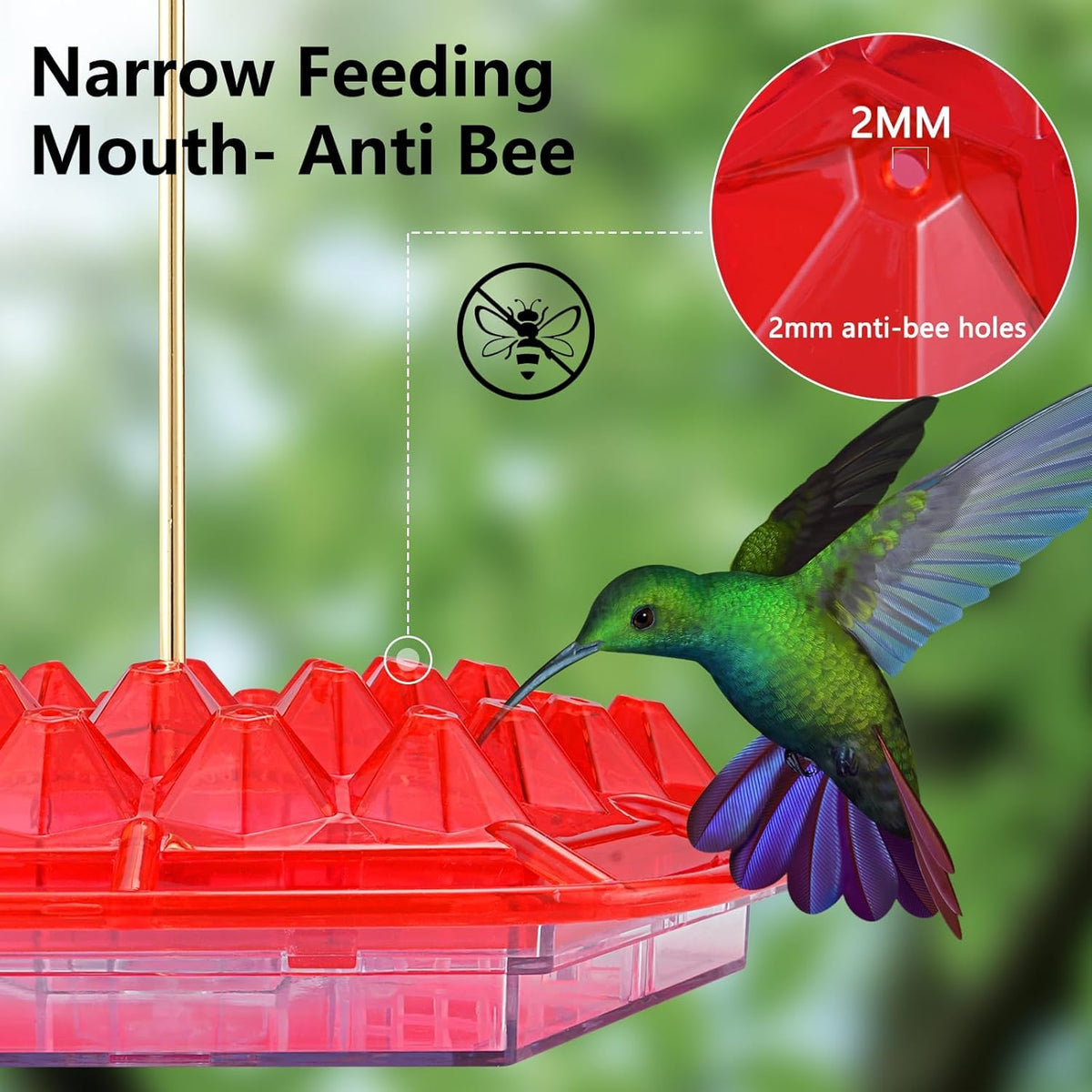 Roself hummingbird feeder with secure outdoor hanging hook.