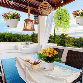 Roshtia versatile planters suit herbs, flowers, succulents, and vines.