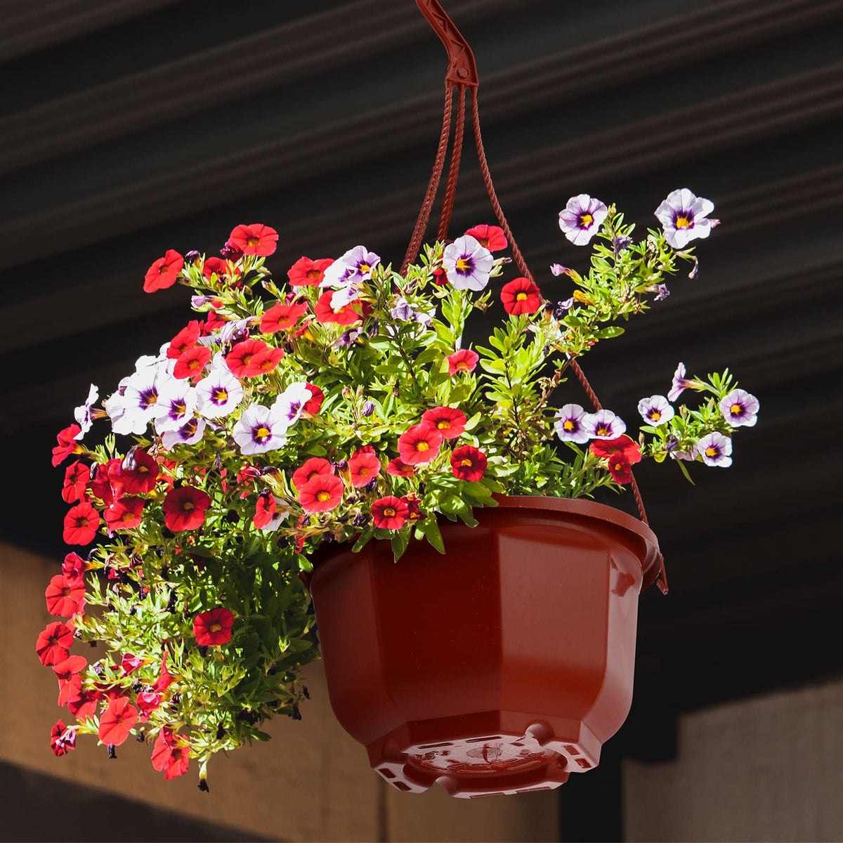 Roshtia 24-pack packaging ready for versatile planter setups.