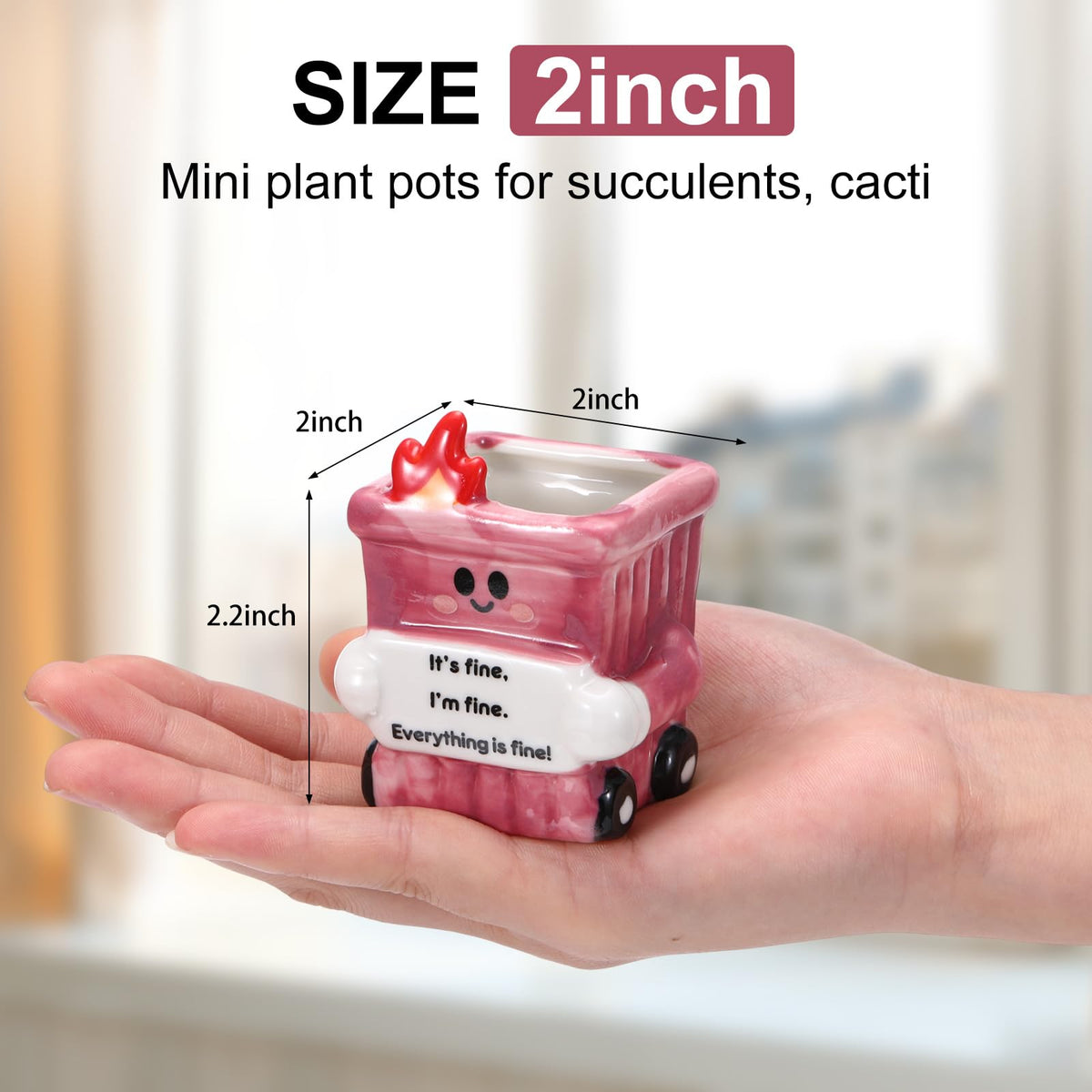 Roshtia dumpster fire planter in orange and pink brightening windowsills