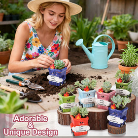 Roshtia mini planters with drainage hole prevent overwatering