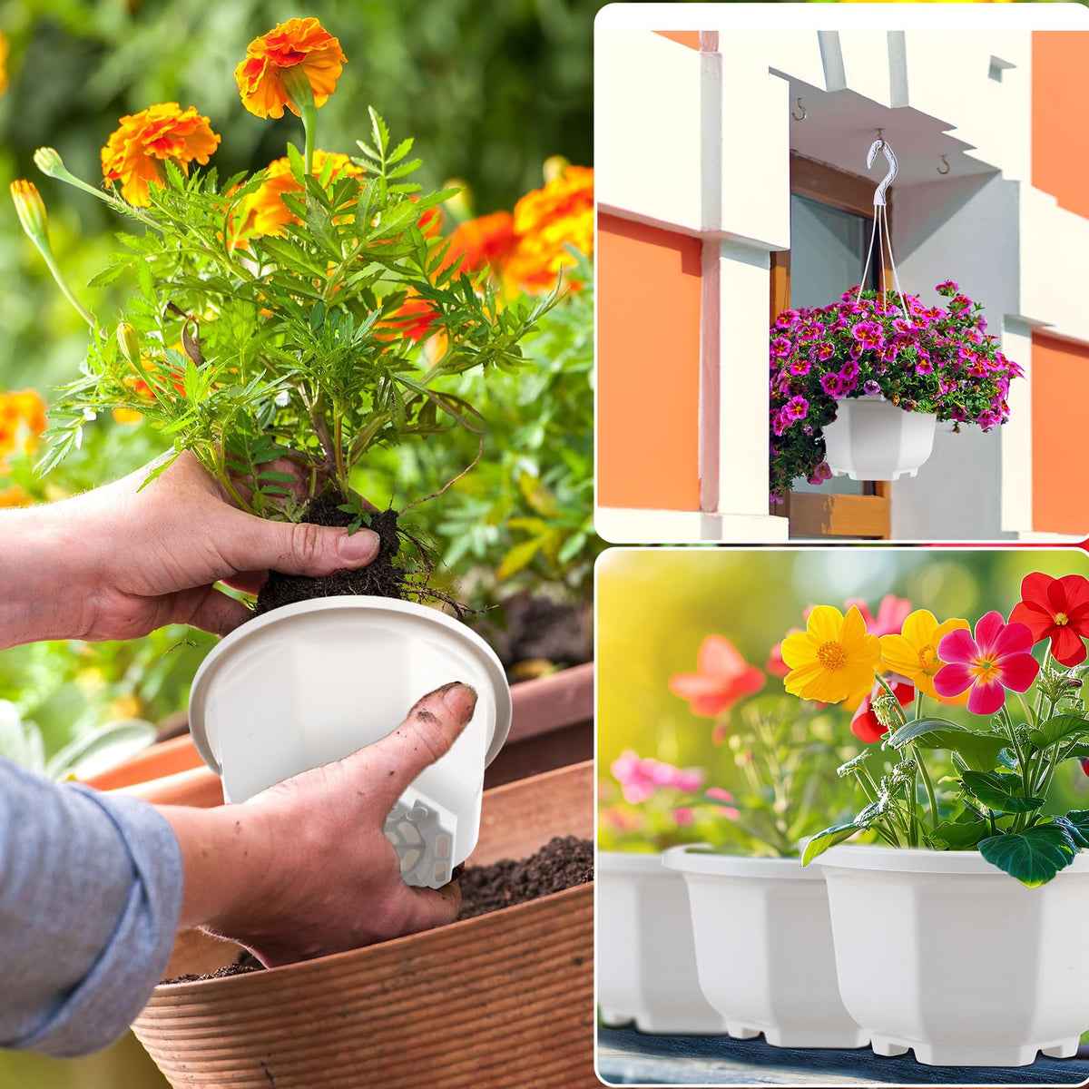 Roshtia plastic hanging basket featuring drainage holes for healthy watering