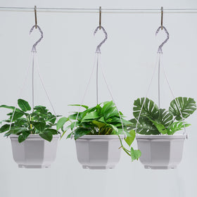 Roshtia indoor outdoor plant holder fits balconies, patios, and living spaces