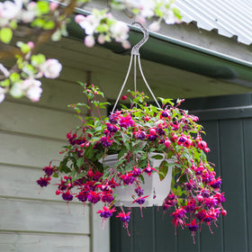 Roshtia durable PP material enhances safety and weather resistance for outdoor use