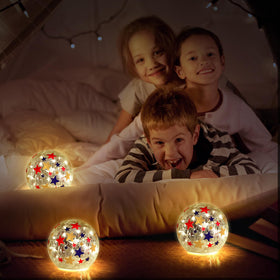 Rossesay battery operated globe light indoor decor flexible placement