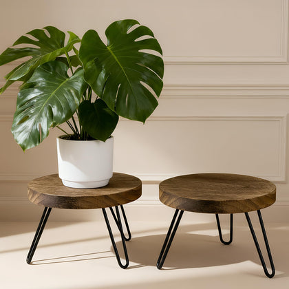 ROSSNY small plant stand 7in height displaying compact greenery with stable support
