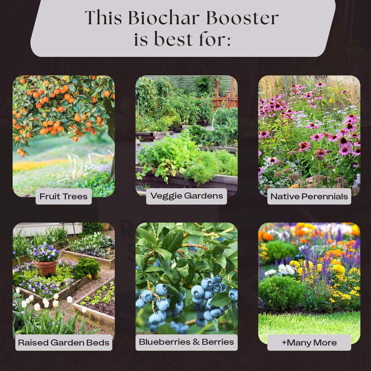 Rosy Soil Biochar Booster made in USA label on a sturdy bag.