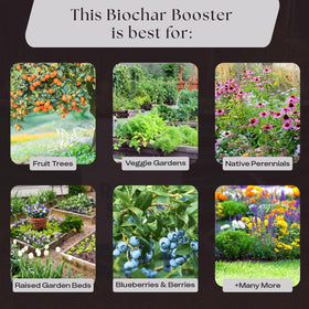 Rosy Soil Biochar Booster made in USA label on a sturdy bag.