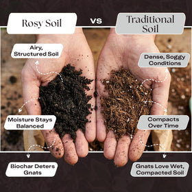 Rosy Soil Biochar Booster mixed into soil to improve moisture retention.