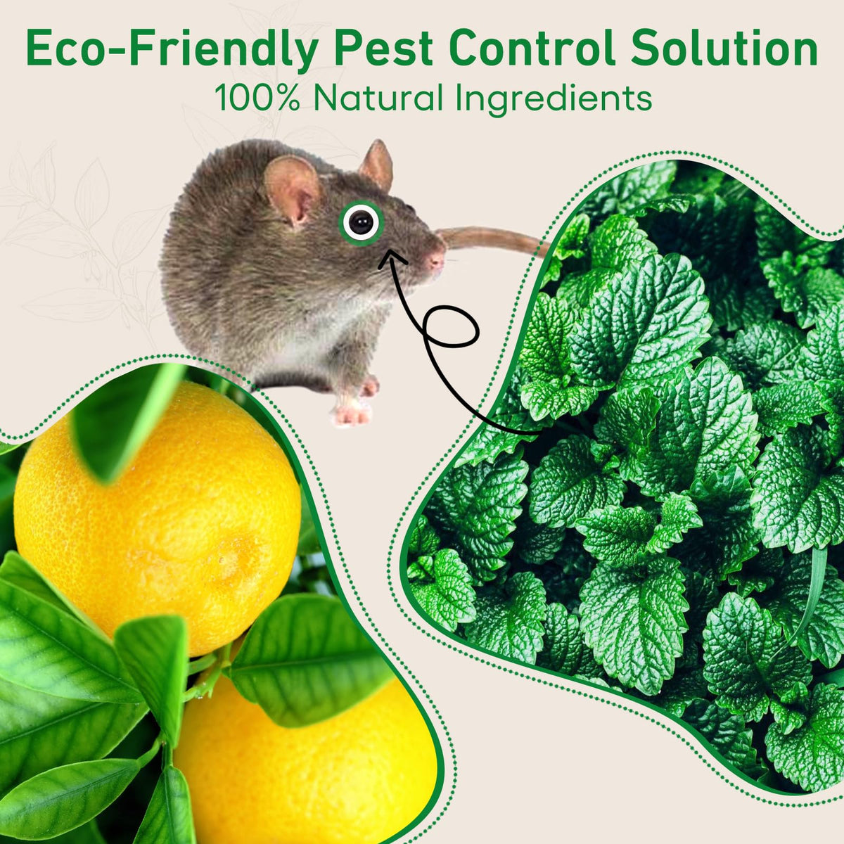 ROTIAH family-safe formula supports pet-friendly pest control.