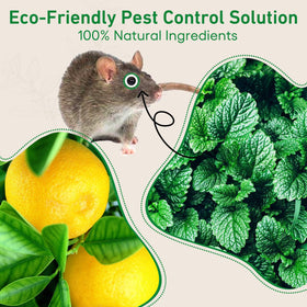 ROTIAH family-safe formula supports pet-friendly pest control.