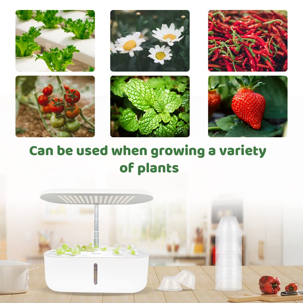 Roucerlin PET material ensures durable clarity for repeated use.