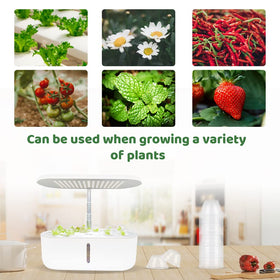 Roucerlin PET material ensures durable clarity for repeated use.
