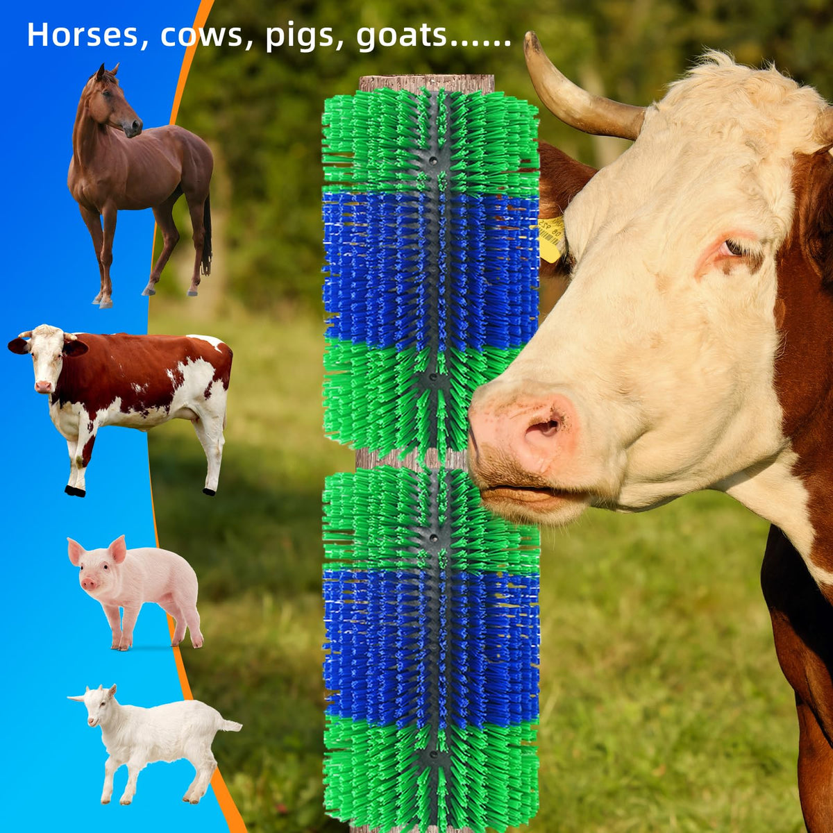 Rouisxue suitable for cattle, horses, sheep, and other livestock.