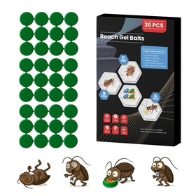 ROUTADE roach gel bait stations on kitchen counter for prevention