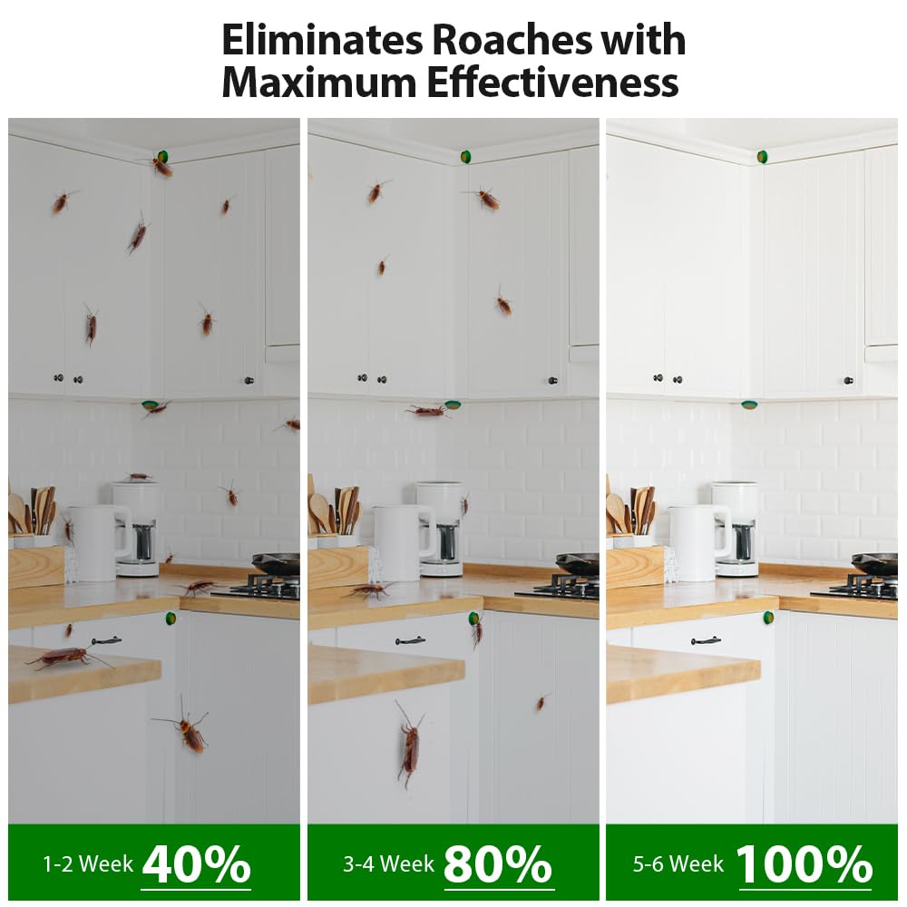 ROUTADE easy-peel-stick setup photo demonstrates quick, mess-free bait placement.