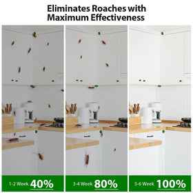 ROUTADE easy-peel-stick setup photo demonstrates quick, mess-free bait placement.