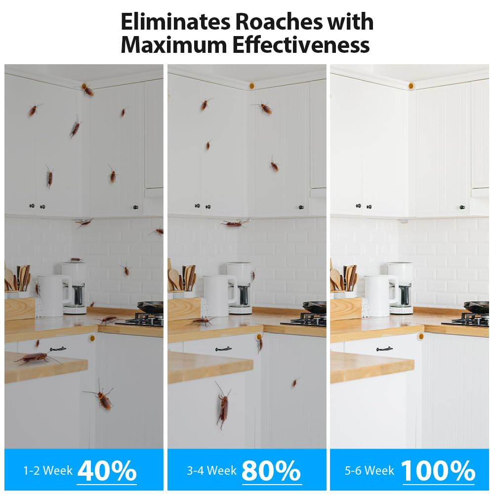 Bait placed in a kitchen crevice to target infestations.