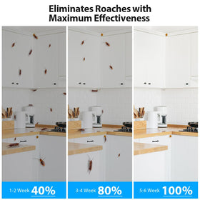 Bait placed in a kitchen crevice to target infestations.