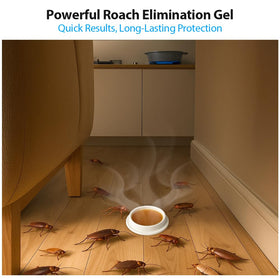 Close-up of Routeade roach gel bait showing effective lure for roaches.
