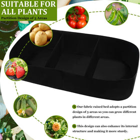 Roveinsia neat and organized rectangle garden bed in use.