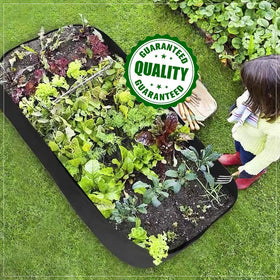 Roveinsia terrace or patio conversion for vegetables, herbs and flowers.