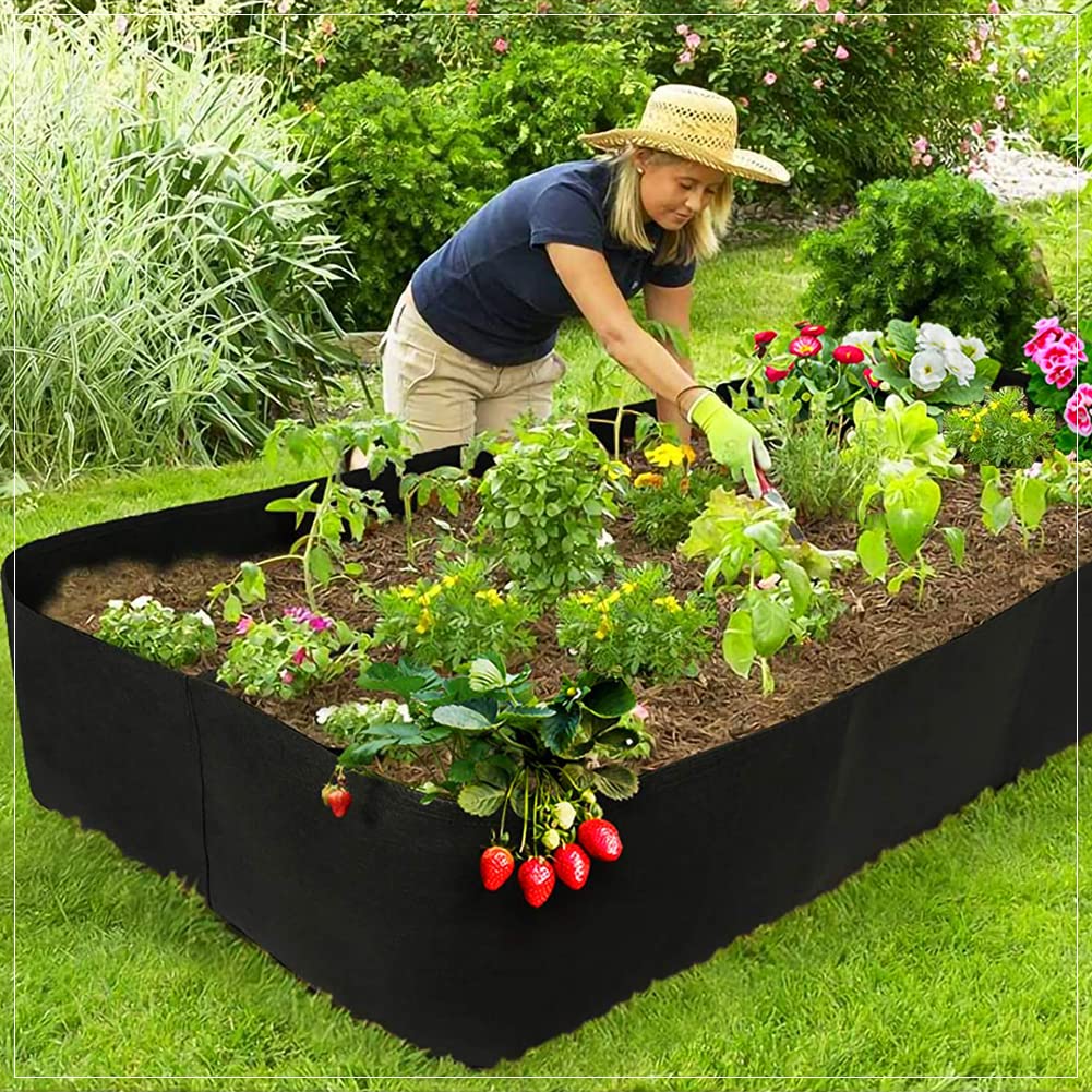 Roveinsia versatile bed for growing vegetables, herbs, and flowers in small spaces.