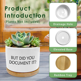 ROXMART compact gift-sized planter perfect for birthdays and housewarmings.