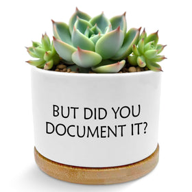 ROXMART funny plant pot for desk adds whimsy to your workspace.