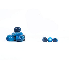 Royal Sapphire blue river rocks pair with succulents for a modern, low-maintenance display.