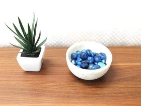 Royal Sapphire blue river rocks enhance terrariums with clean drainage and soft textures.