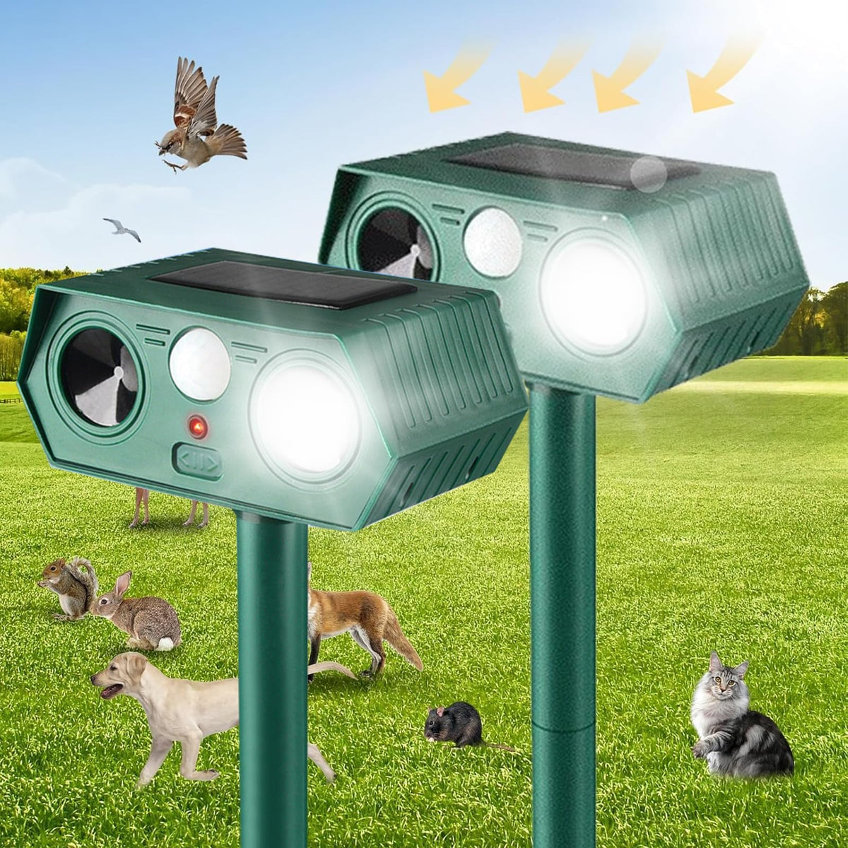 RQQN 2025 solar animal repeller packaging for two-pack outdoor use