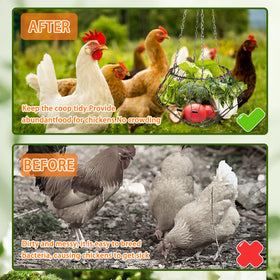 RRQKMBO chickens enjoying vegetables reduces pecking and boredom