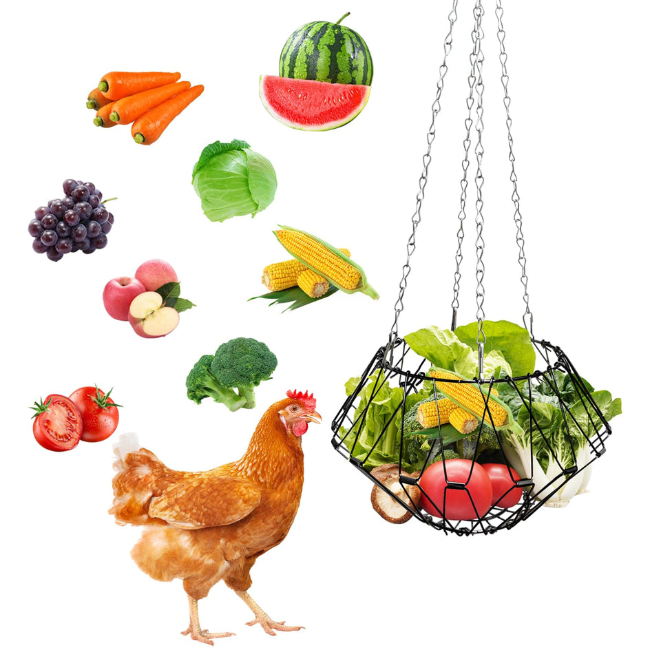 RRQKMBO hanging chicken feeder with 9.25-inch diameter for easy access to greens