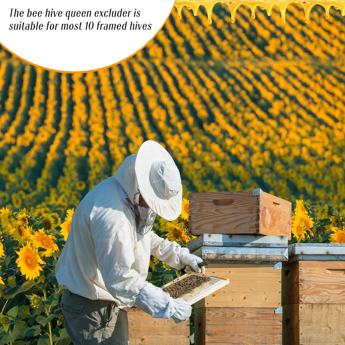 Rtteri plastic excluder is lightweight and durable for busy hives.