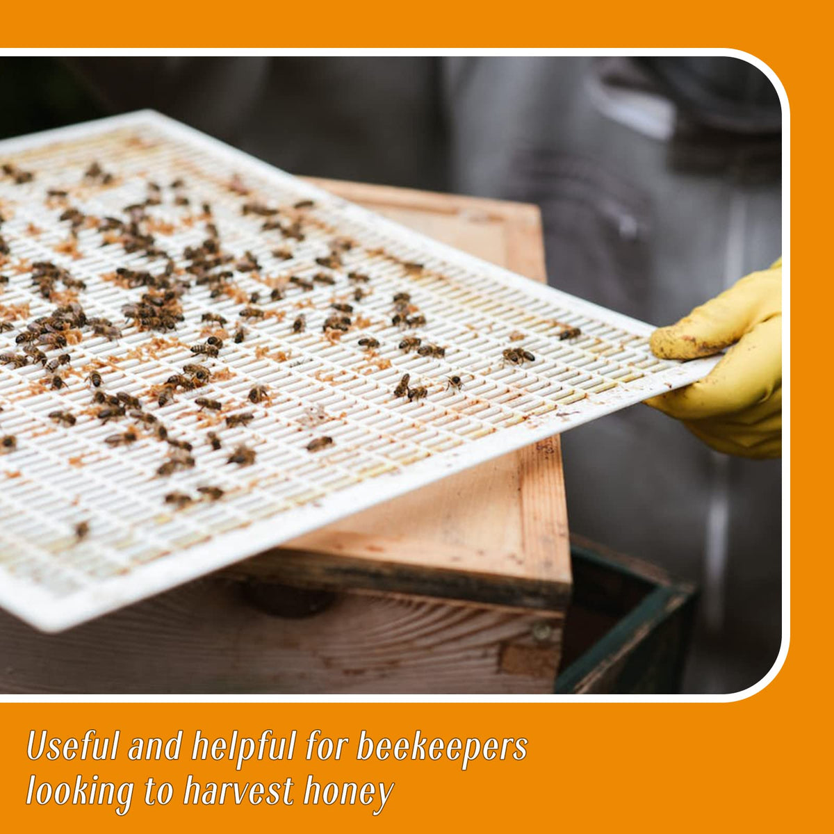Rtteri queen excluder shown fitting a 10-frame hive for compatibility.