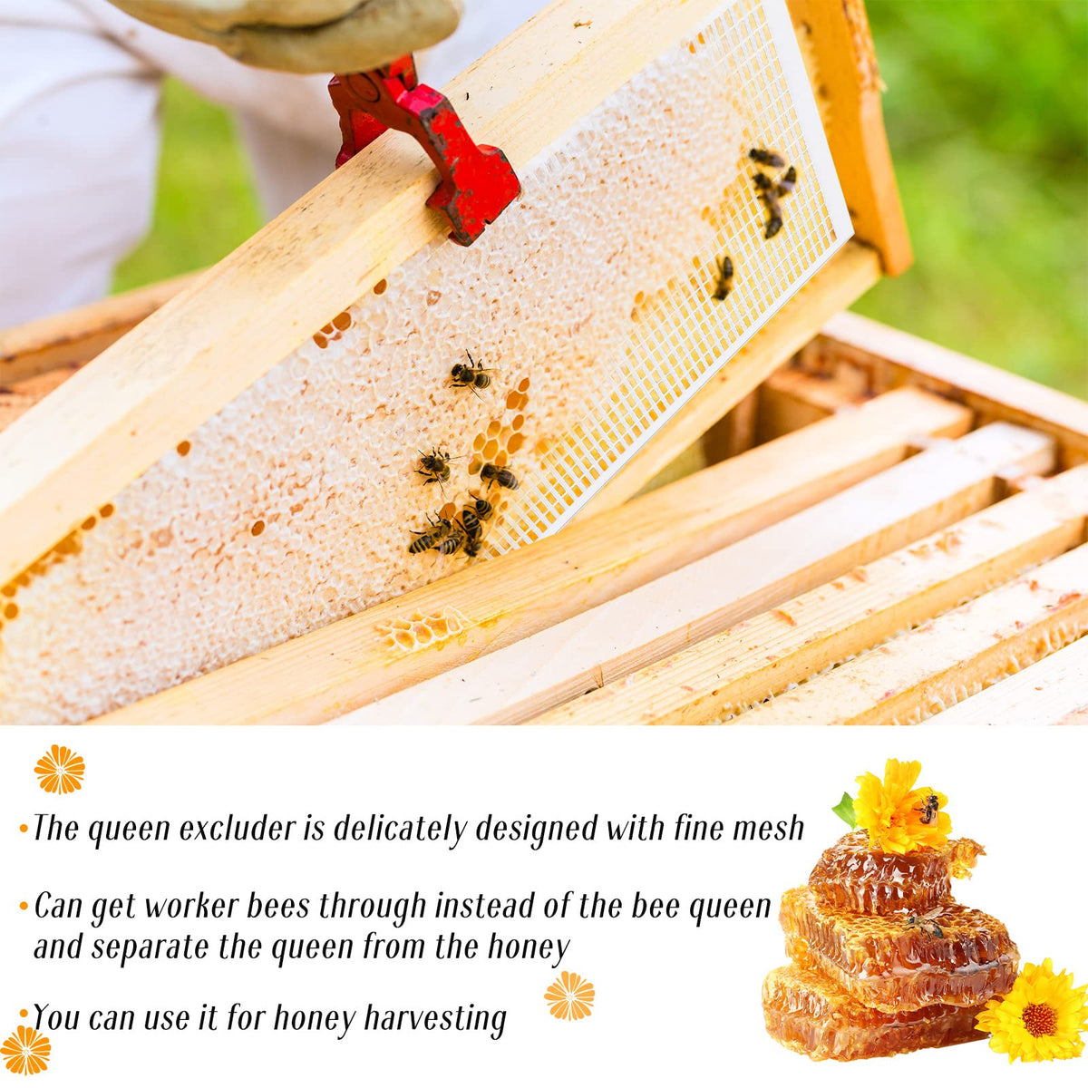 Rtteri 10-frame excluder compatible with most hives for efficient harvest.